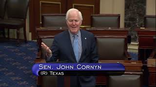 Sen. Cornyn: Biden Admin Needs to Actually Enforce Our Immigration Laws