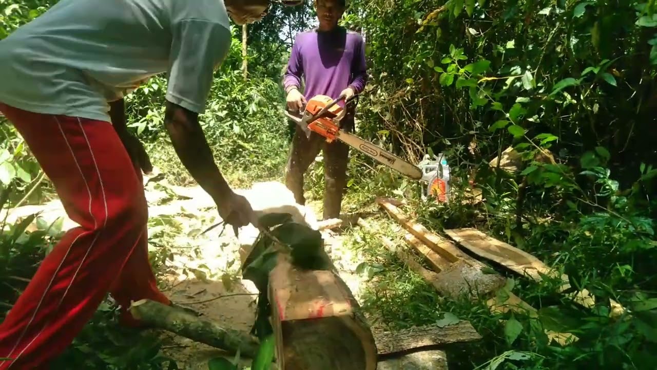 membuat kusen sinso  yamamax kayu alkasia(akasia)