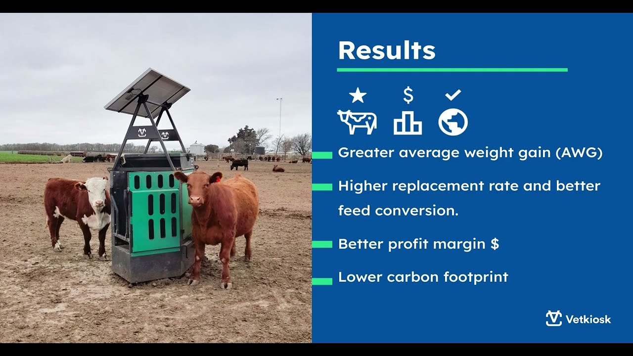 Feedvax for Vetkiosk - SOLVE MIT