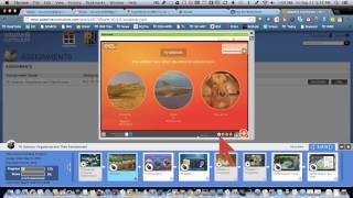 Adaptive Curriculum Tutorial
