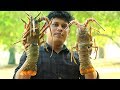 1.5 kg BIG LOBSTER | KING of LOBSTER GRAVY | Cooking Skill Village Food Channel