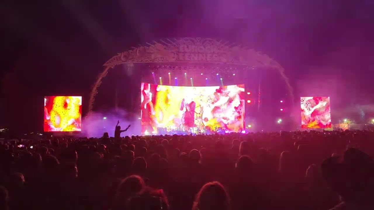 Indochine - Des fleurs pour Salinger - Eurockéennes 2023