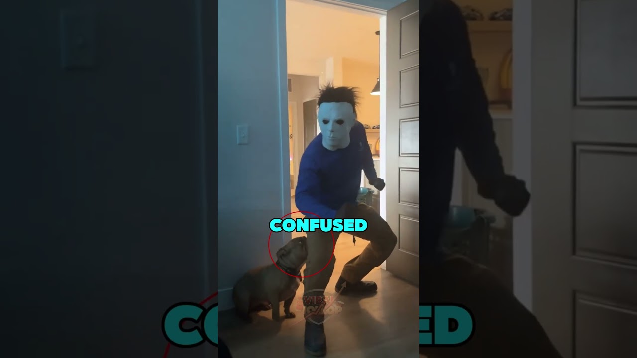 Реакция малыша бесценна 💀