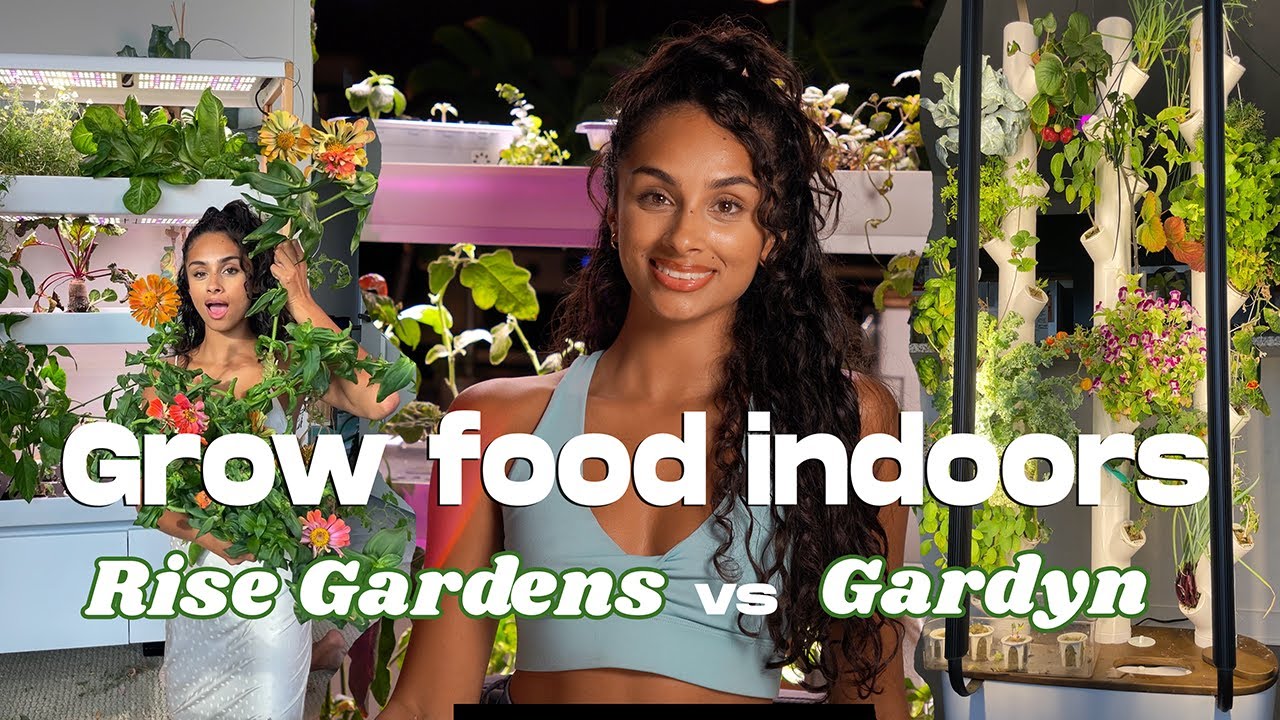 Grow Food Indoors! Rise Gardens vs Gardyn Hydroponic Gardens