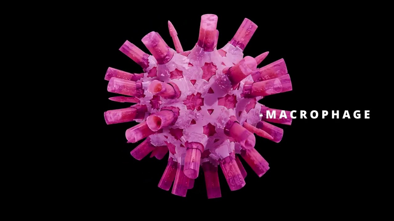 3d Cells Demo Reel- 4k Biomedical Visualization