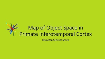 Map of Object Space in Primate Inferotemporal Cortex