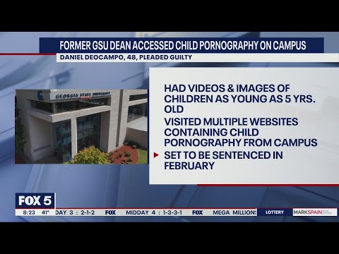 Former Georgia State University professor pleads guilty to possessing child porn