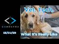 Vet Tech: It's Not Just Puppies and Kittens (The Real Job)
