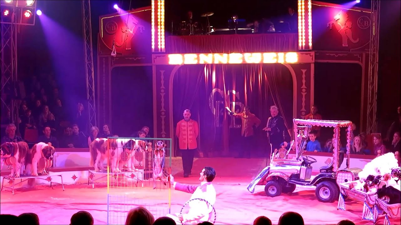 Cirkus Benneweis 2014