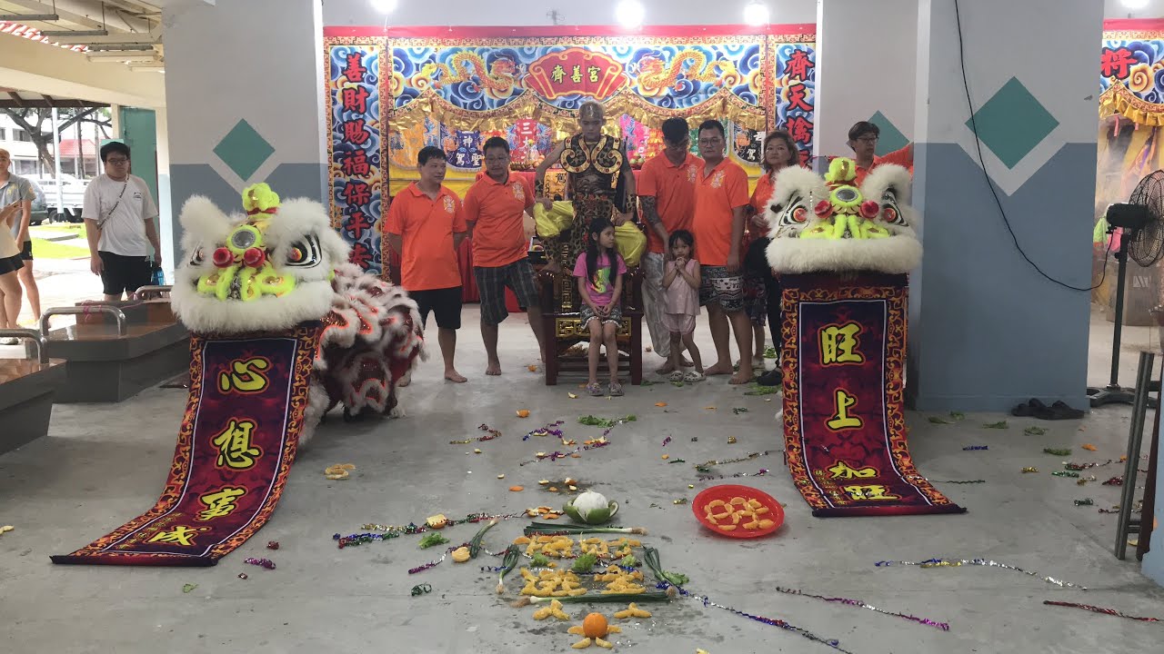 新加坡腾陽龍獅體育會 Singapore Teng Yang Twin Lion Dance Cai Qing Performance on ...