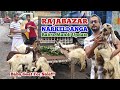 Rajabazar Narkeldanga Bakra Mandi Update | Kolkata Goat Market | Totapuri Baby Goat For Sale #goat