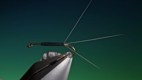 Mayfly tailing techniques with Barry Ord Clarke