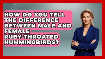 How Do You Tell The Difference Between Male And Female Ruby-throated Hummingbirds?