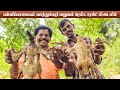 பள்ளிபாளையம் வாத்துக்கறி வறுவல் ரெஸ்டாரன்ட் ஸ்டைலில்|PALLIPALAYAM Duck Curry Fry in Restaurant Style