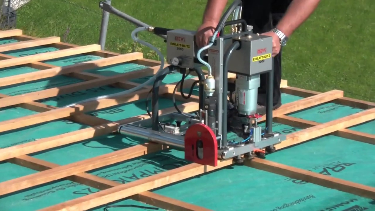 Łaciarka dekarska Łaciarka dekarska