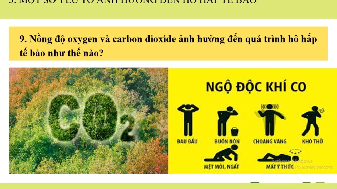 KHTN 7. BÀI 25 HÔ HẤP TẾ BÀO.Cúc Đặng