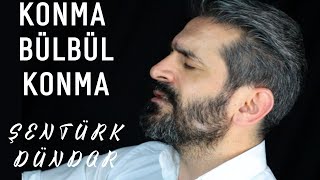 KONMA BÜLBÜL KONMA NERGİZ DALINA - ŞENTÜRK DÜNDAR Resimi