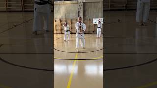 Download Lagu Johan Backteman’s Masterclass - Taketomikai Mendrisio 25.05.2025 #artimarziali #mendrisio #karate MP3