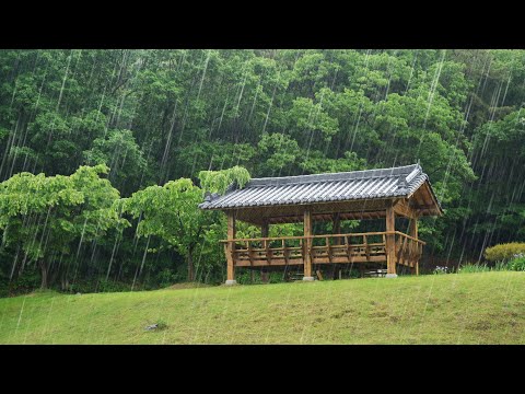 한적한 공원 한옥 정자와 숲이 보이는 잔잔한 수면 유도 빗소리 asmr