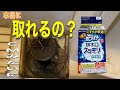 お風呂の排水口のお掃除はこれでオケ？あえて汚い現場で使ってみました。結果は？