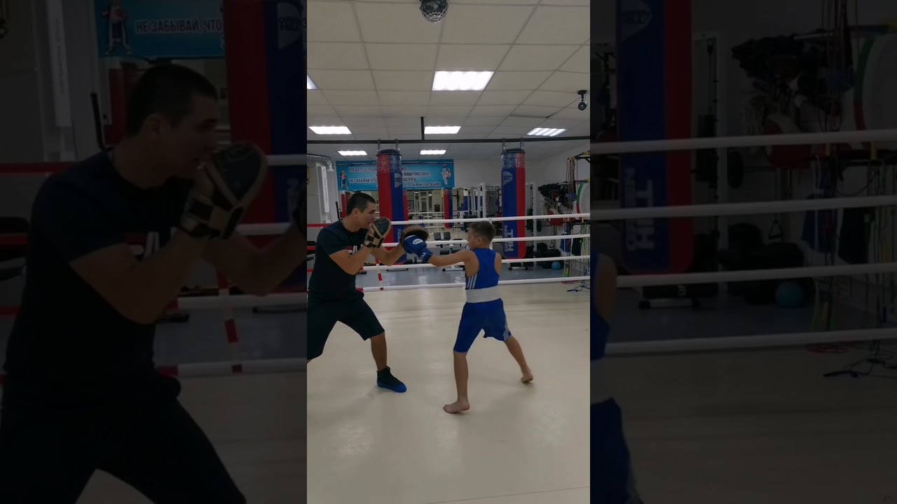 Тренировка челябинск. Спарта Челябинск бокс. Показать видео тренировок кикбоксинга в Пензе СК медведь.