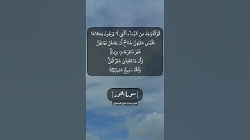سورة النور الآية ٥٩ و ٦٠ بصوت الشيخ محمد صديق المنشاوي