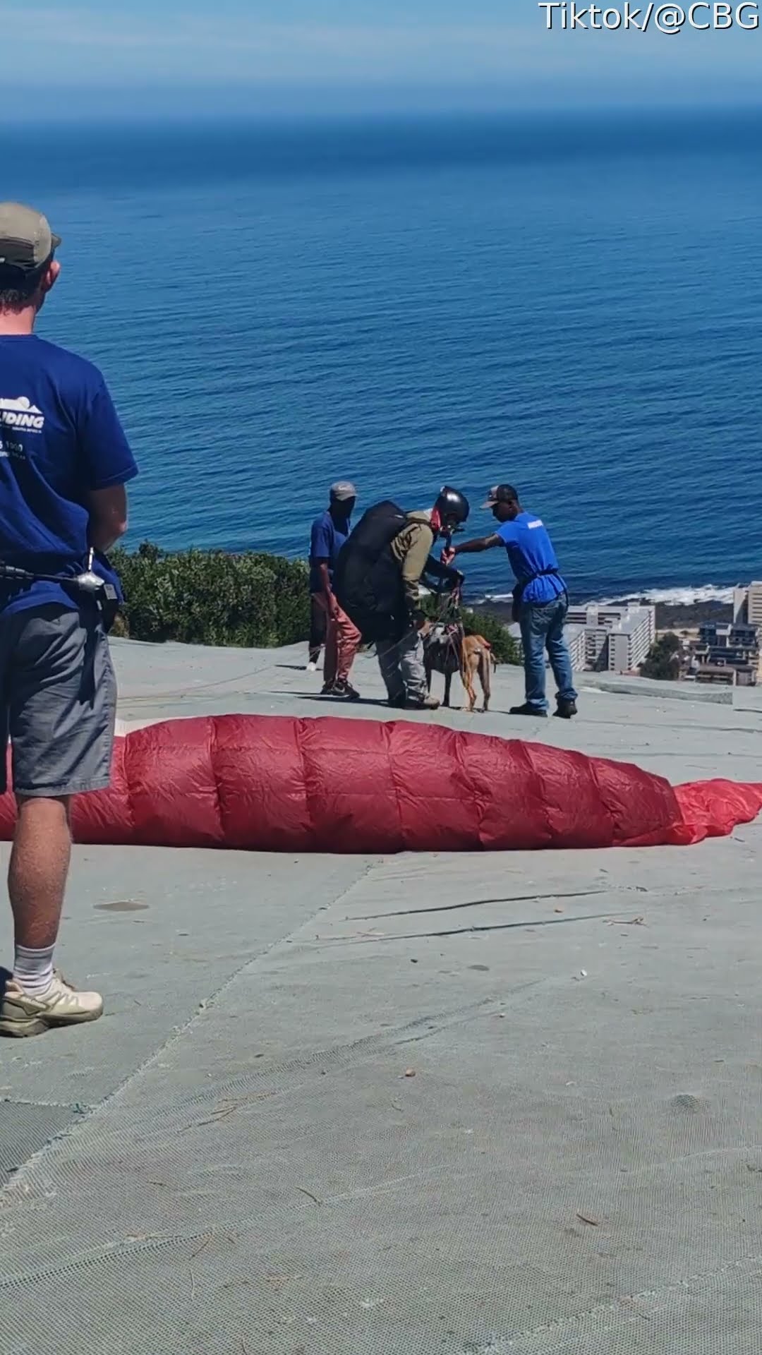 Dog Goes Paragliding With Owner || ViralHog
