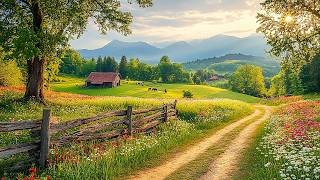 Beautiful Relaxing Music - Stop Overthinking, Stress Relief Music, Sleep Music, Calming Music #6 screenshot 5