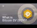 What is bitcoin sv bsv