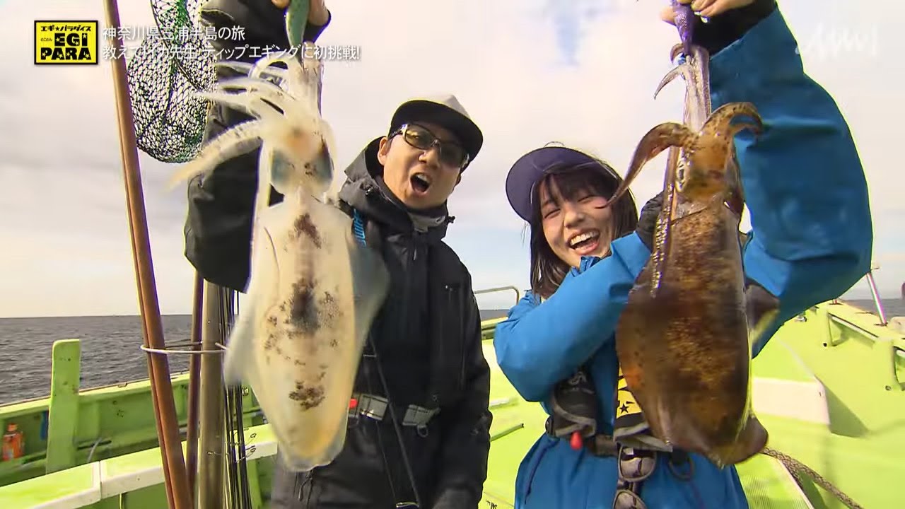 とことんエギパラダイス 139 神奈川県三浦半島の旅 教えてイカ先生 ティップエギングに初挑戦 Youtube