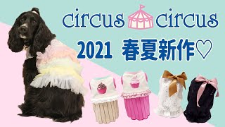 【大人気犬服ブランド！】サーカスサーカス 2021年春夏の新作紹介！