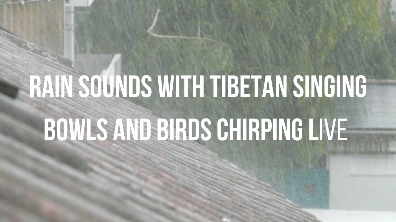 Rain Sounds with Tibetan Singing Bowls and Birds chirping [ Sleep Music ...