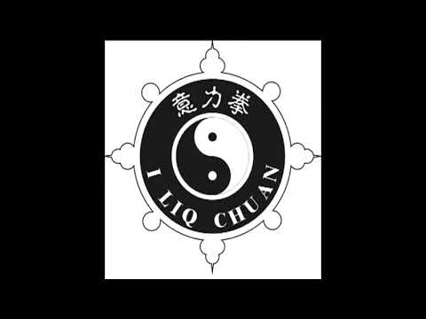 Elements of Sanshou #iliqchuan #zhongxindao #martialartofawareness