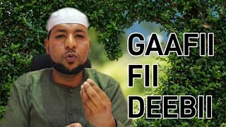 Sagantaa Gaafii Fii Deebii Kutaa 2