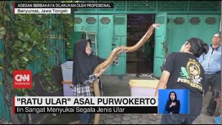 Mengenal IIn Ayu, Ratu Ular King Cobra Asal Purwokerto