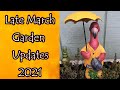 Garden and Other Updates Late March 2021