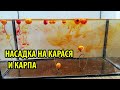 ЭТА НАСАДКА КОСИТ ВСЮ МИРНУЮ РЫБУ,ПОПАП своими руками,НАСАДКА НА КАРАСЯ,НАСАДКА НА КАРПА,pop-up,ФЛЭТ