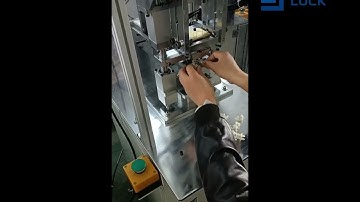 GP-08 Pin Insertion Machine | Efficient Solution for Relay Assembly