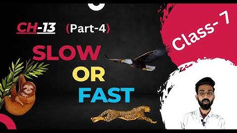Slow or Fast || Chapter 13 || Part 4 || Motion & Time || Class 7 || Science || The Physics Studio