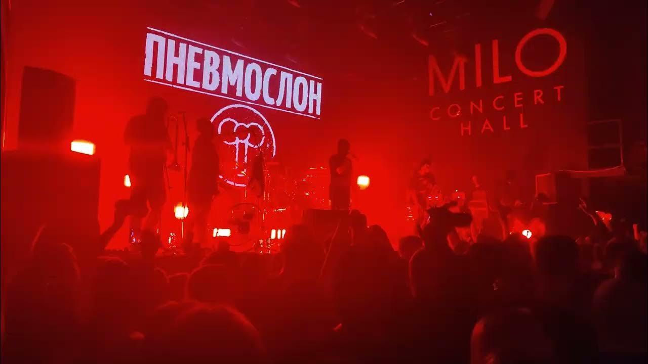 Пневмослон если мог то. Пневмослон концерт. пневмослон запутай след. катастрофический пиздец. пневслон на аву.