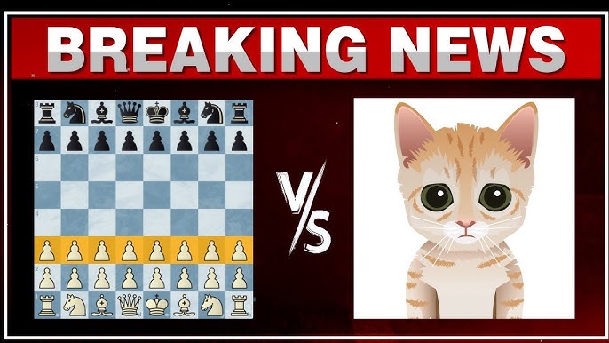 Little known fact: Mittens' rating on chess.com is actually her