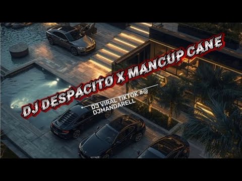 DJ DESPACITO X MANCUP CANE. @djmandareel. 