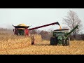 Harvest 2020 | Case IH 7230 Axial Flow Combine Harvesting Corn | Corn Harvest 2020