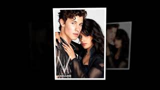 Shawn Mendes and Camila Cabello show romantic love in hot music video