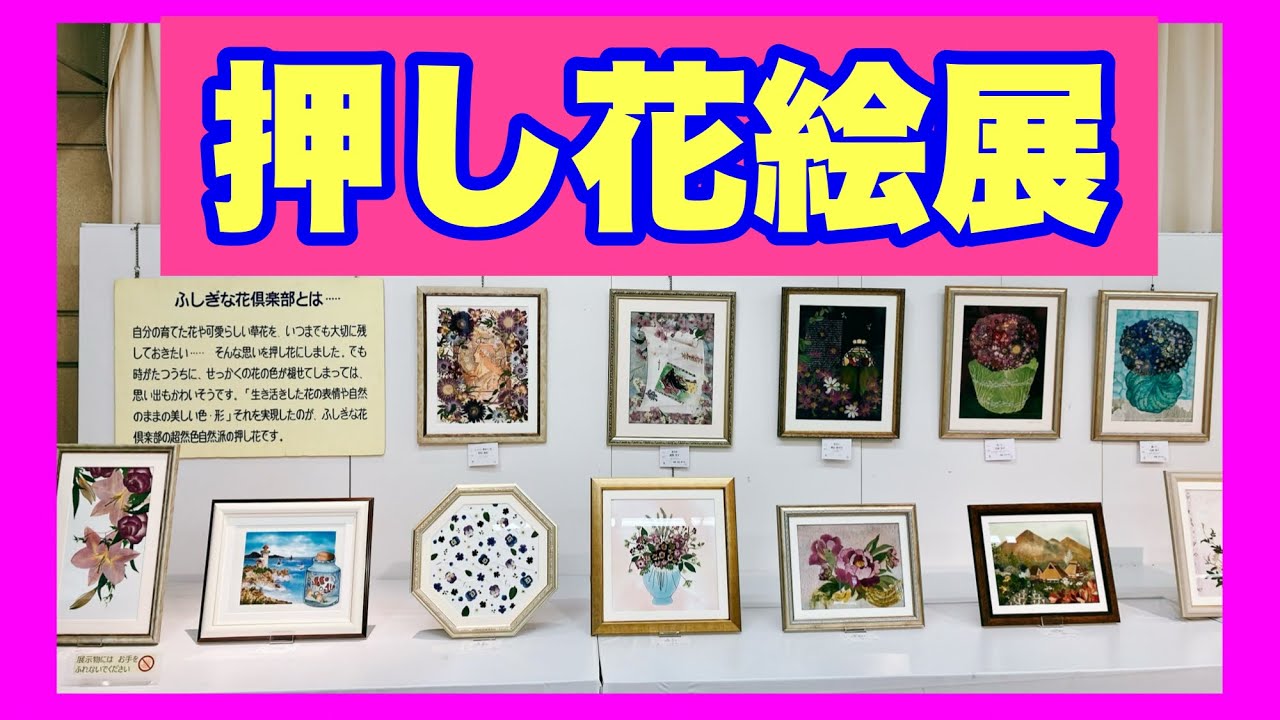 フルーツ＆フラワーの押し花絵展 2026年 - YouTube