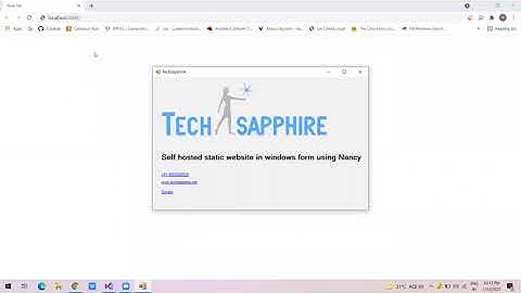Self hosted static website with css and image using Nancy and windows form