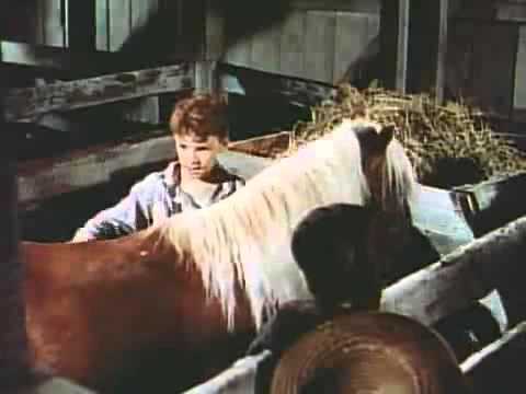 ugunstige Watt Borgmester The Red Pony Original Trailer 1949 - YouTube