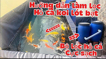 Cách Làm Lọc Hồ Cá Koi Lót Bạt Nước Siêu Trong - Cách Vận Hành và Thông Lọc Hiệu Quả Nước Trong.