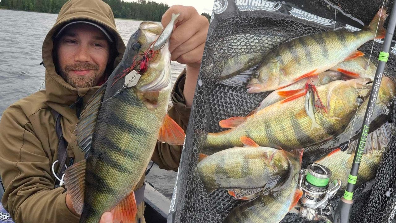 TEHOKAS TAPA KALASTAA AHVENTA | CHATTERBAIT & BLADE KALASTUS | KALAT LÖYTYY KASVUSTOSTA JA KIVIKOSTA