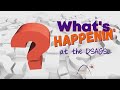 What's HAPPENIN' at the DSAGSL?!? November 2023